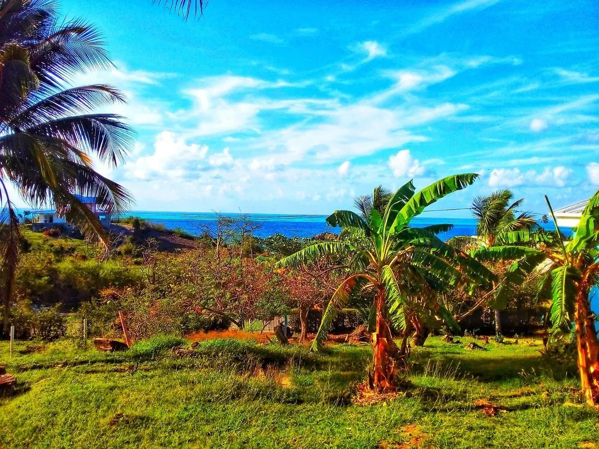 Windy View Guest House Archibolds