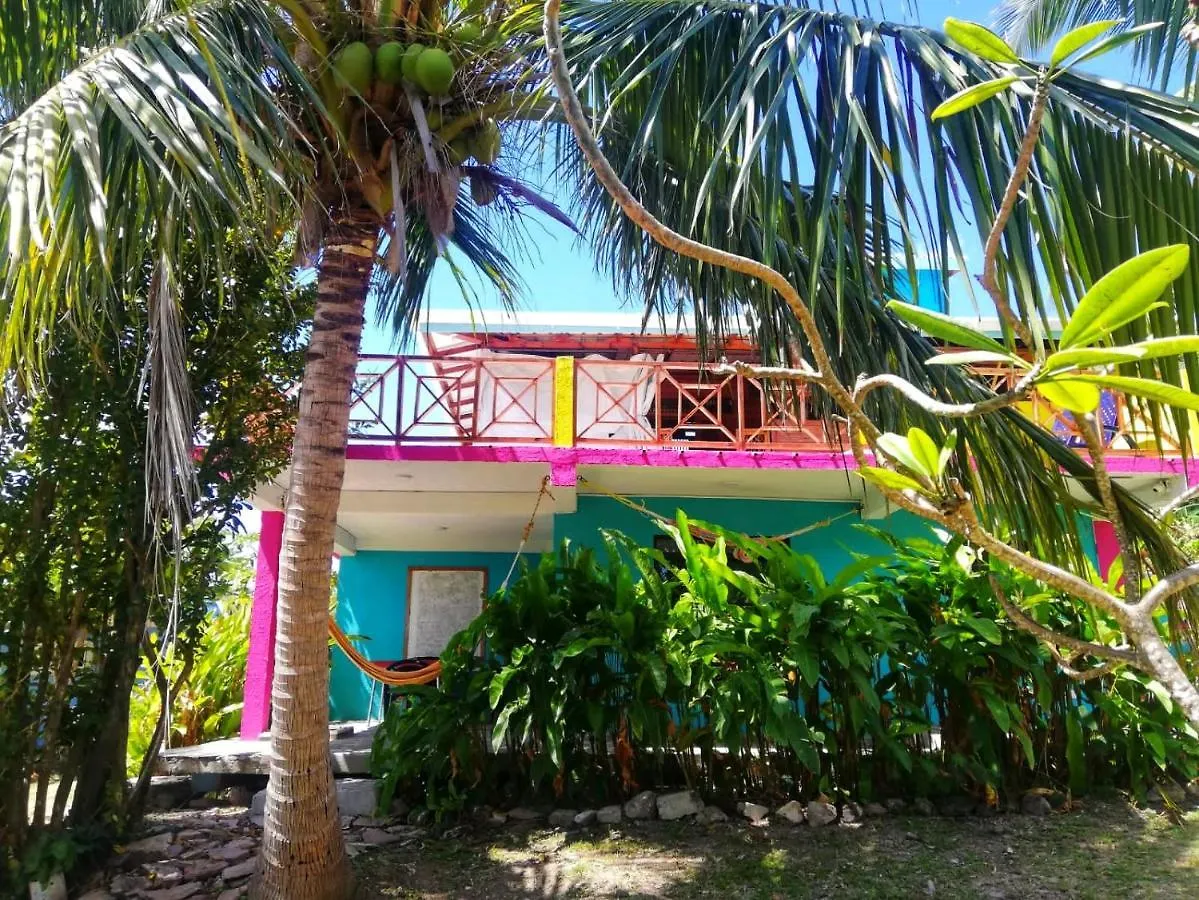 Windy View Guest House Archibolds Apartment