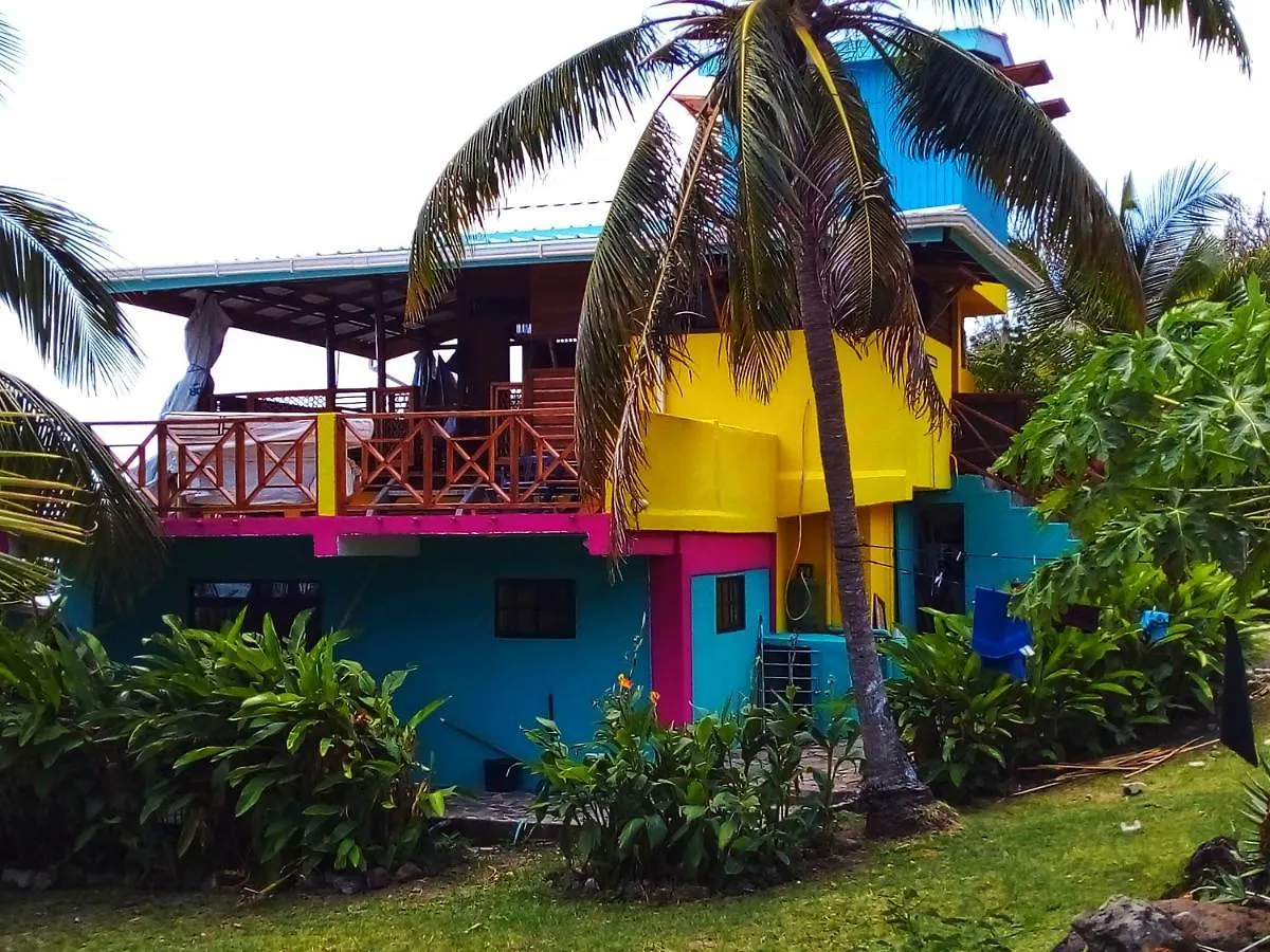 Windy View Guest House Archibolds 0*,