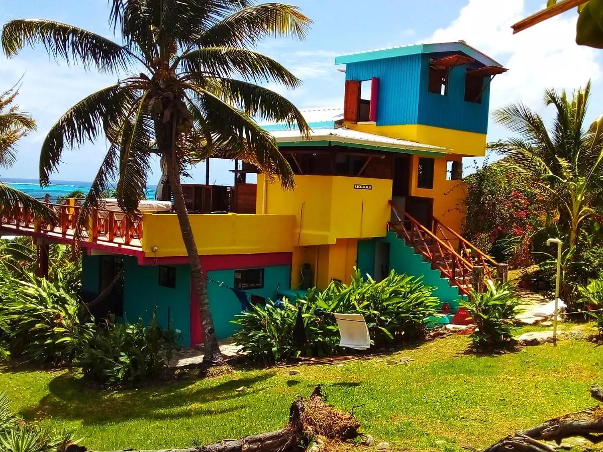 Windy View Guest House Archibolds Apartamento