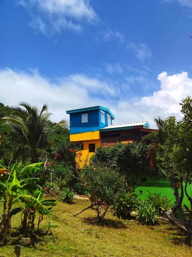 Windy View Guest House Archibolds